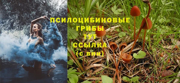 трава Абинск