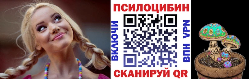 Галлюциногенные грибы Psilocybe  закладки  Кизляр 